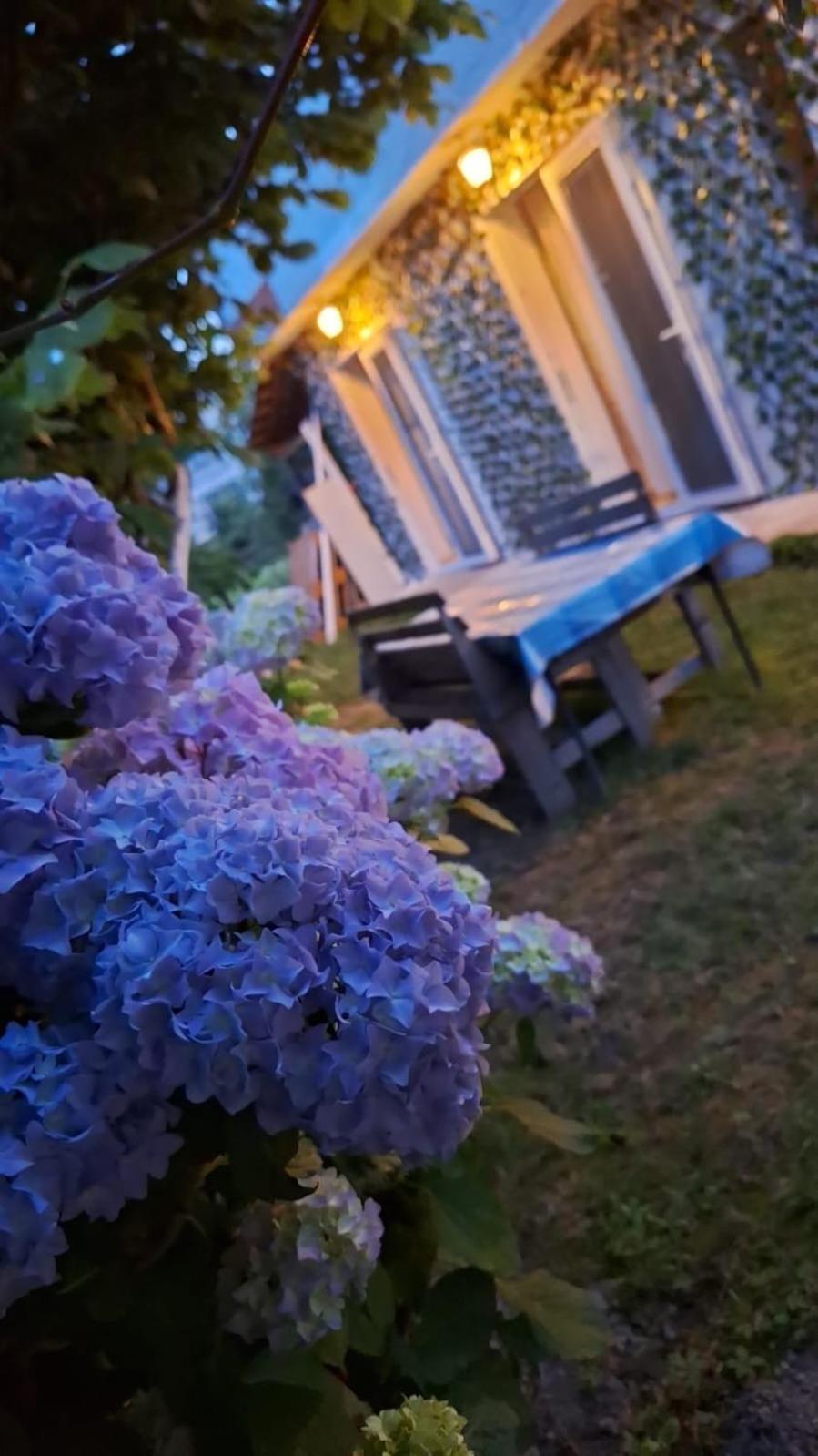 Yahya Rooms Ohrid Eksteriør billede